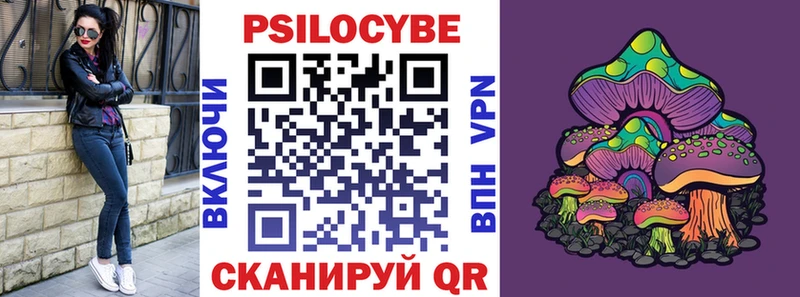 закладки  Шарья  мега маркетплейс  Галлюциногенные грибы Psilocybe 